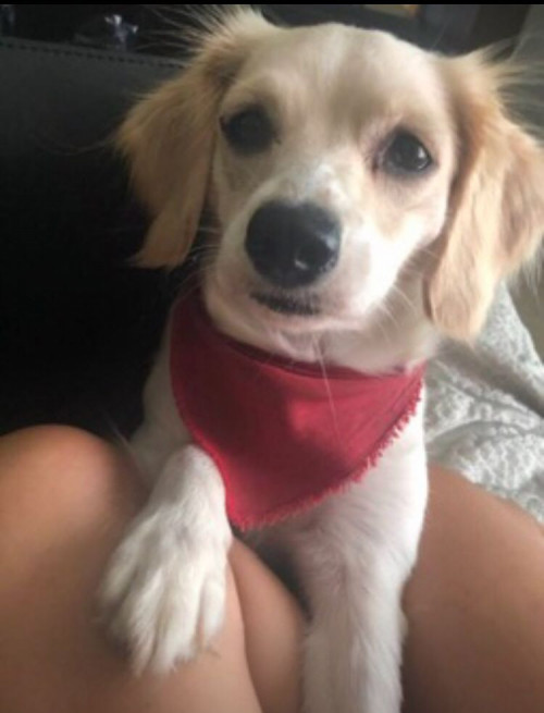 Frida