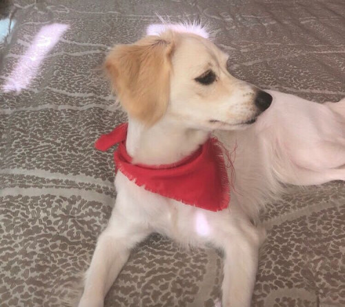 Frida