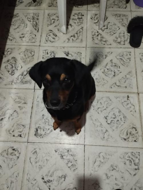 Luna