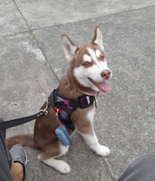 Kira