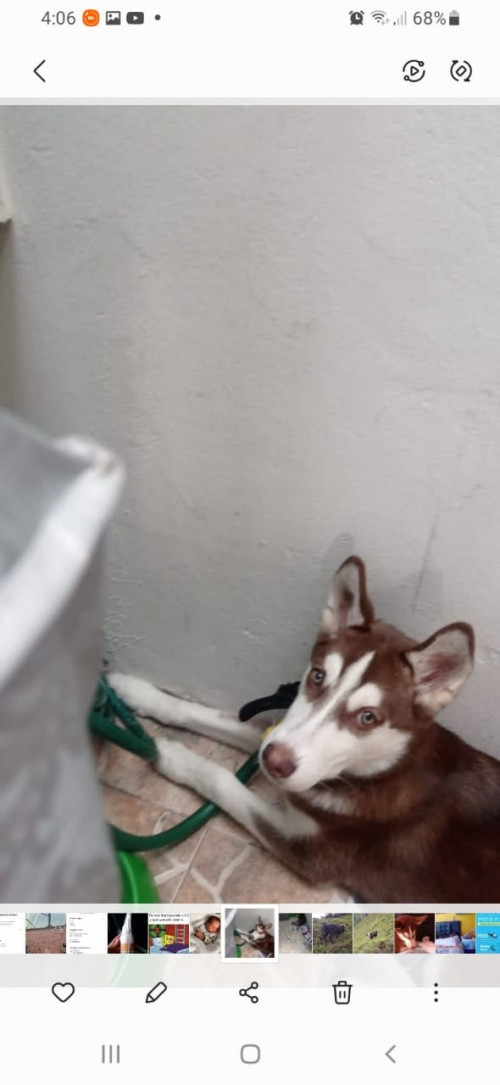 Kira