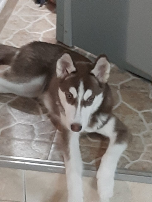 Kira