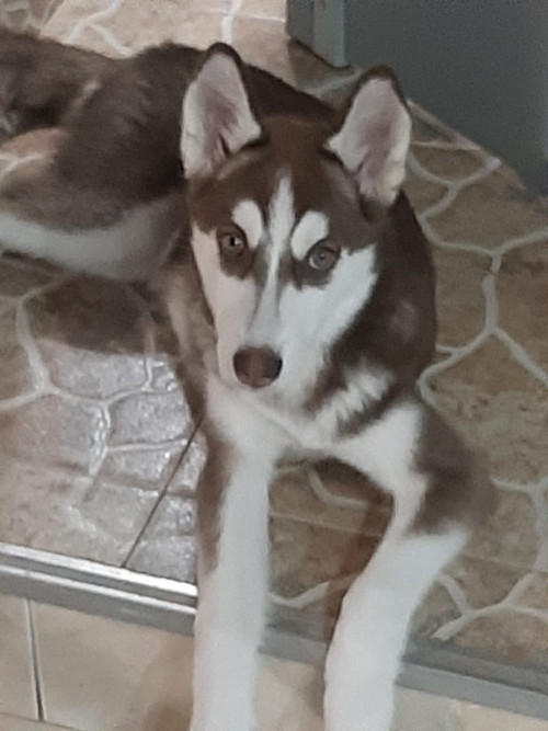 Kira