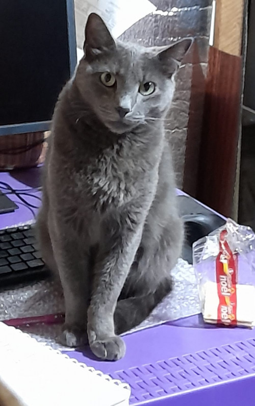 Benito