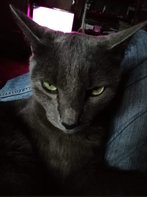 Benito