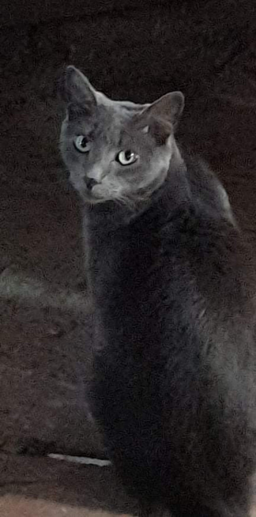Benito
