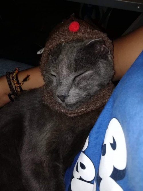 Benito