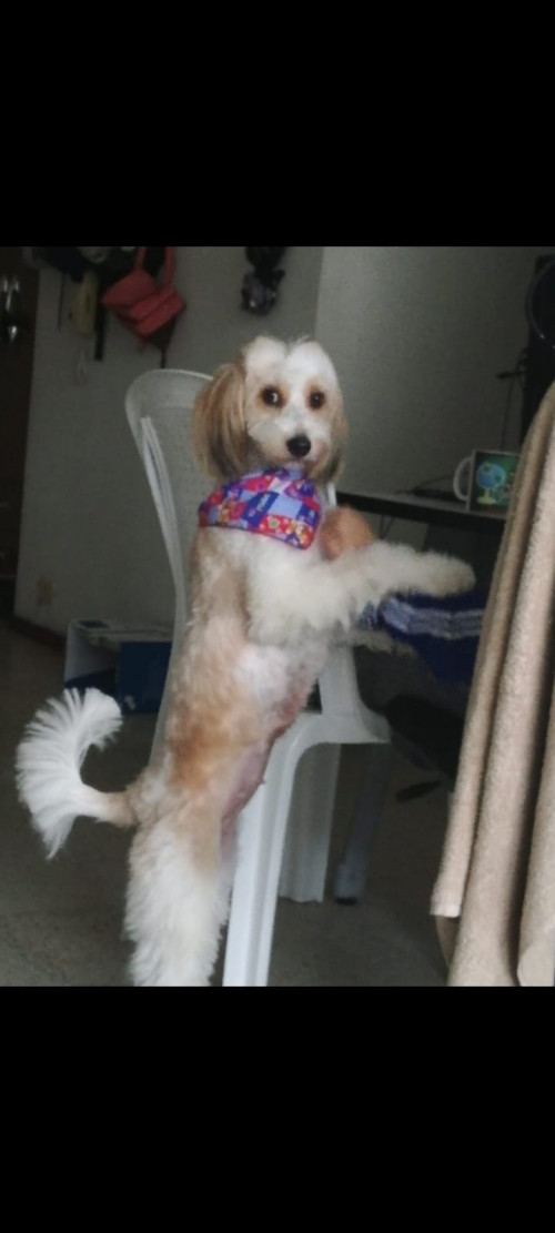 Sammy