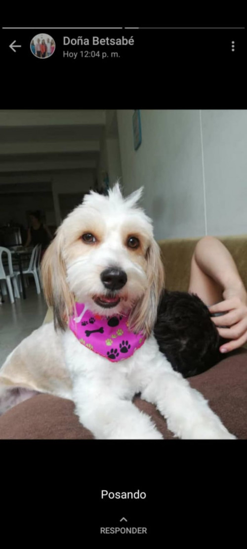 Sammy