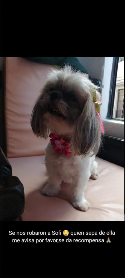 Sofi