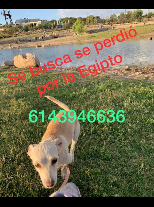Werita