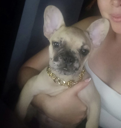 Otto