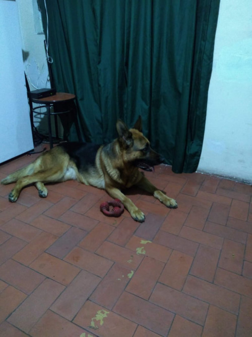 Moli