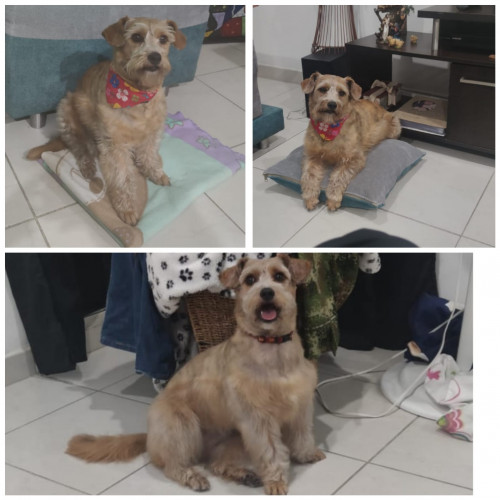 Mia