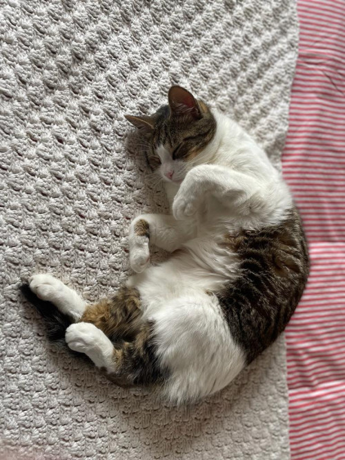 Mercury