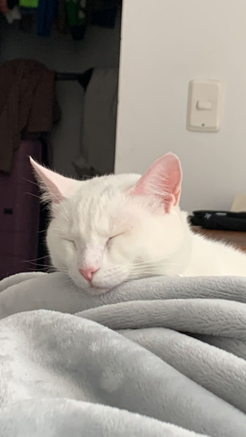 Coco