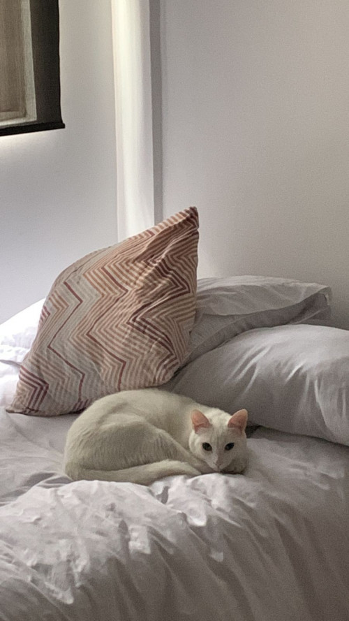 Coco