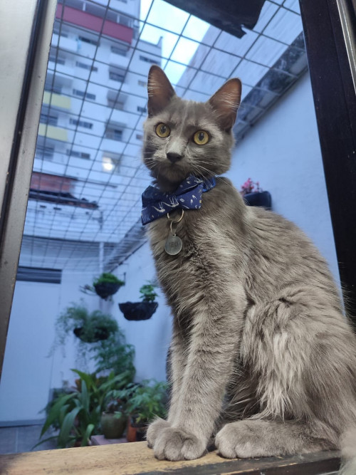 Teo