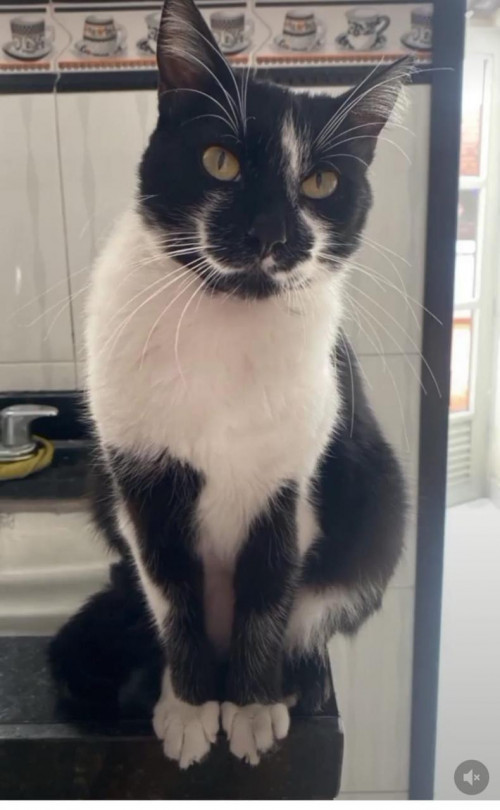 Ramón