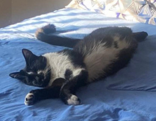 Ramón