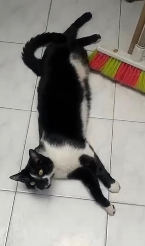 Ramón