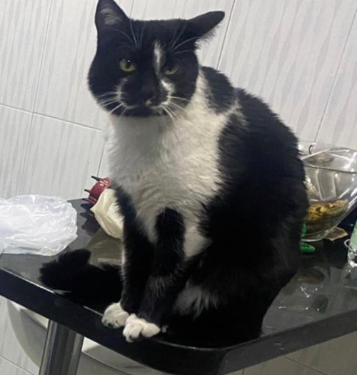 Ramón