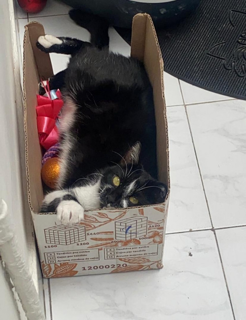 Ramón