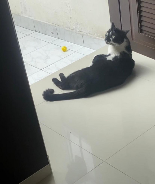 Ramón