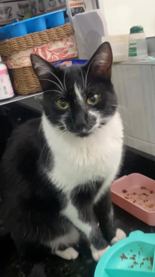 Ramón
