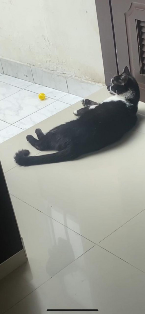 Ramón