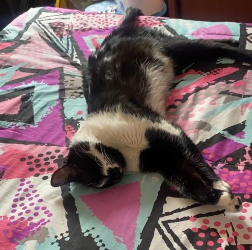 Ramón