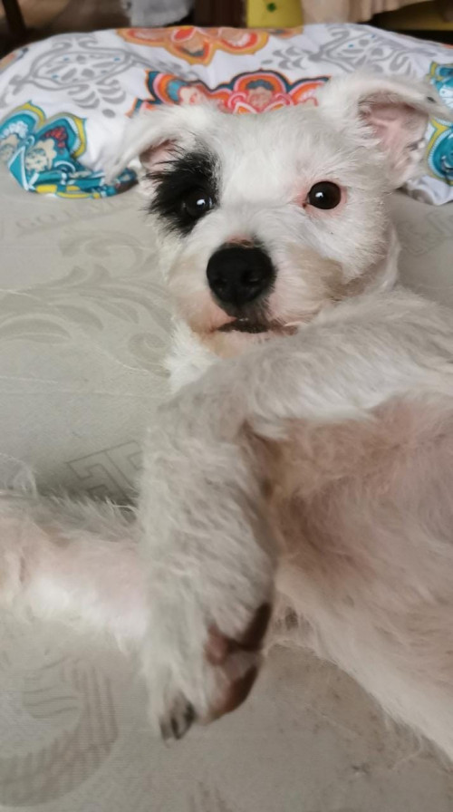 Jack