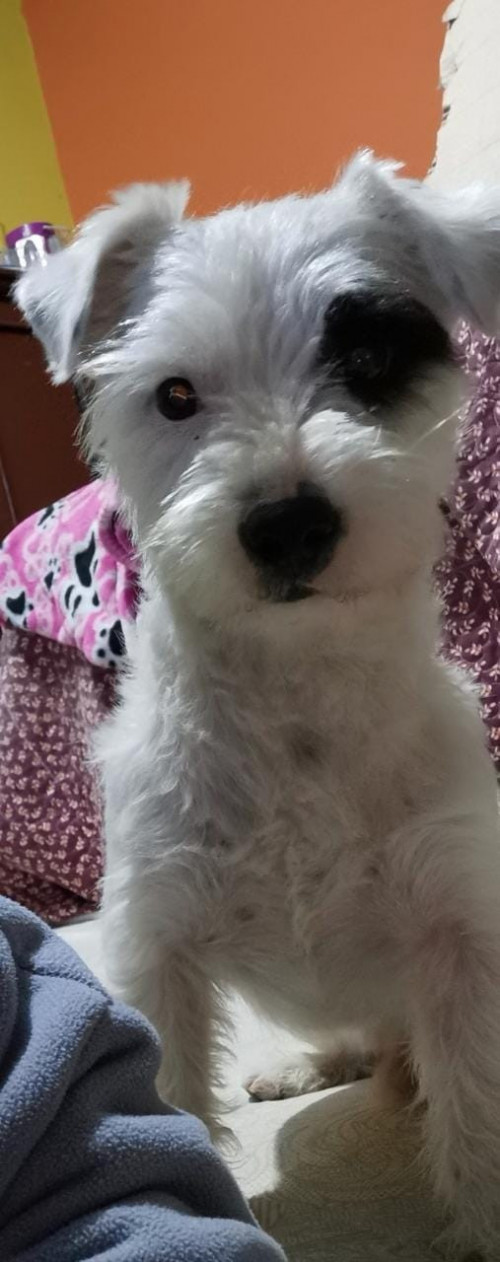 Jack