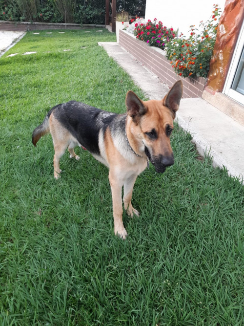 Zeus