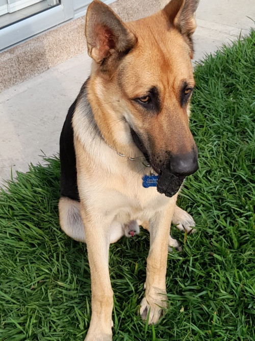 Zeus