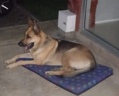 Zeus