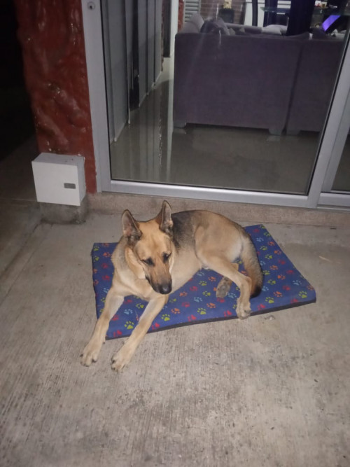 Zeus