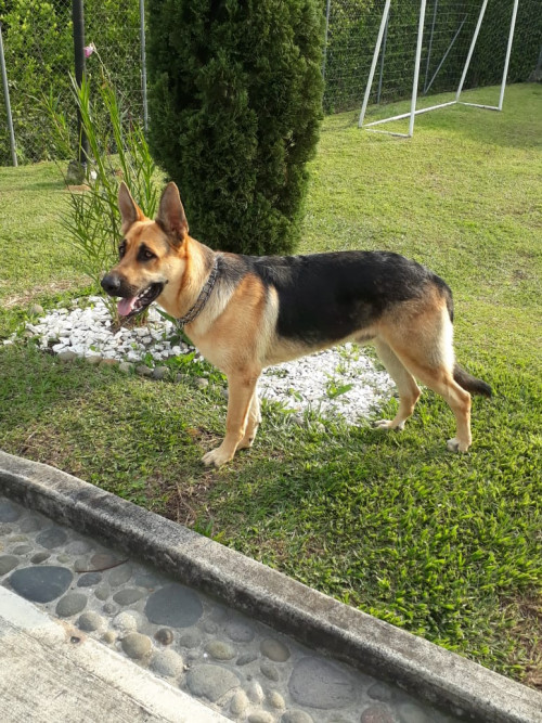 Zeus
