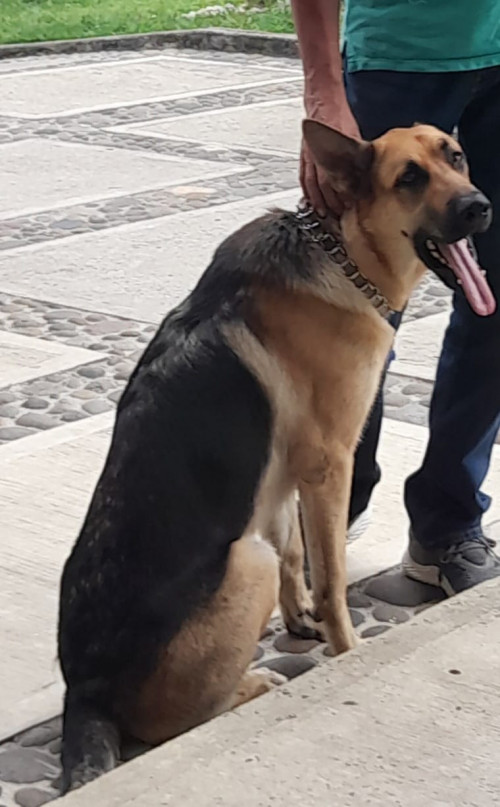 Zeus