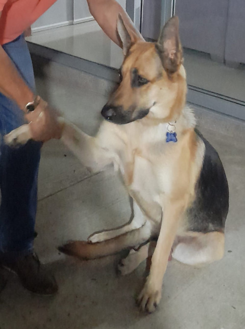 Zeus