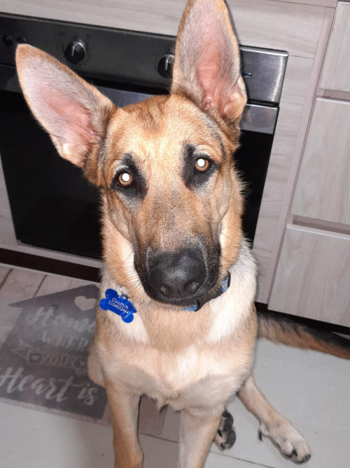 Zeus