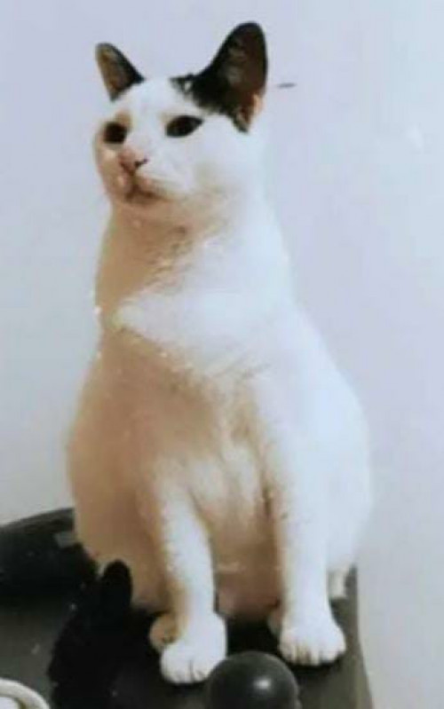 Matilda
