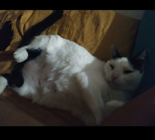 Matilda