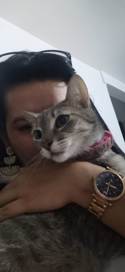 Nala