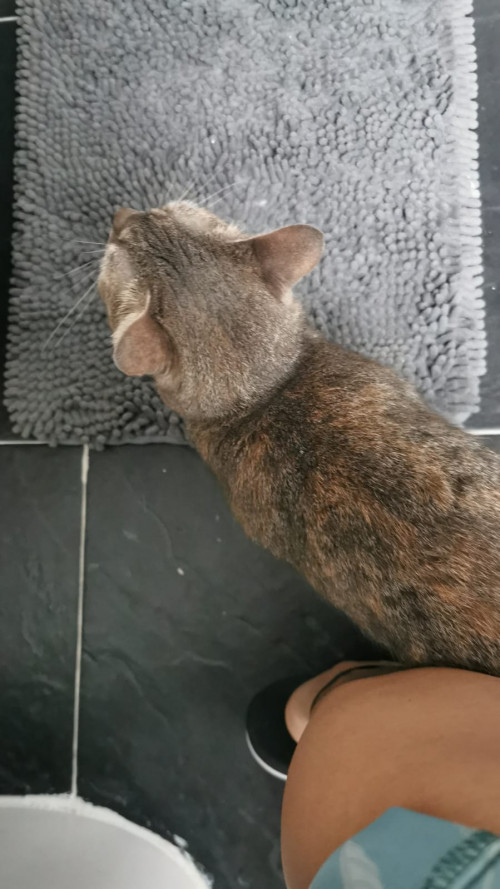 Nala