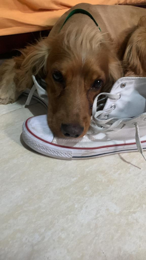 Valentín