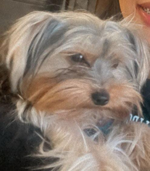 Milo
