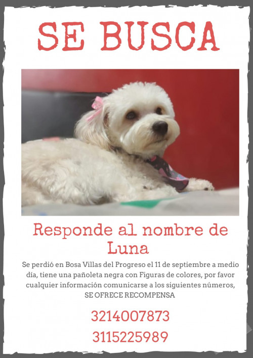Luna
