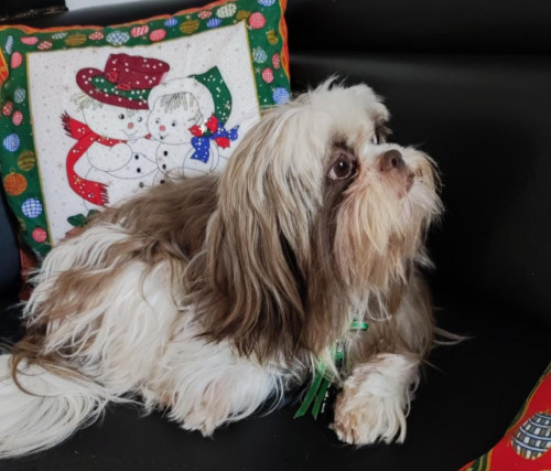 Coco