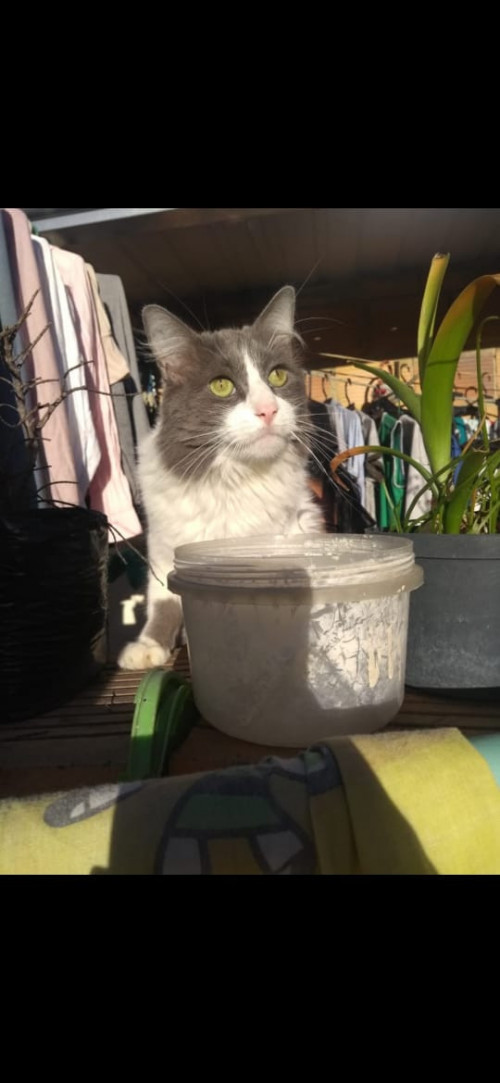 Matias